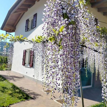 Agritur Lavanda Nave San Rocco Kültér fotó