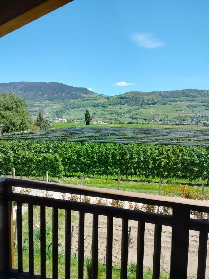 Agritur Lavanda Nave San Rocco Kültér fotó