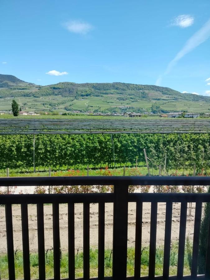 Agritur Lavanda Nave San Rocco Kültér fotó